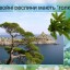 Різноманітність рослин у природі 10
