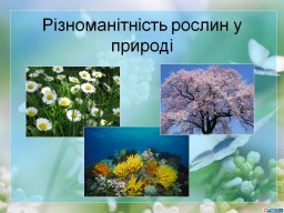 Різноманітність рослин у природі