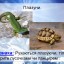 Різноманітність тварину природі 3