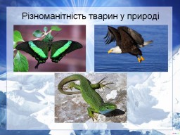 Різноманітність тварину природі