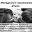 Етапи становлення сім'ї та шлюбних відносин 12