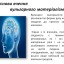 Вульгарний матеріалізм. Презентація з історії психології 7