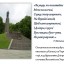 Тарас Шевченко - великий син України 11